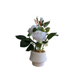 Maceta chica con rosas blancas - flores decorativas