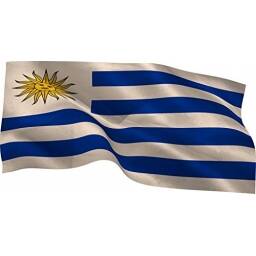 Bandera De Uruguay 90x60 Al Por Mayor - Minimo 100 Unidades