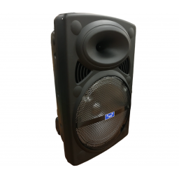 Parlante Amplificado 300W 12" bluetooth microfono y control remoto 