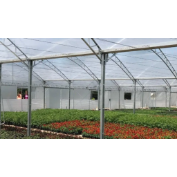 Nylon invernaculo proteccción cultivo 120 micrones - 10 m2